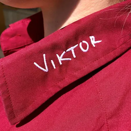 Viktor Viktorsberg